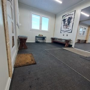 ebgondolat_kutyaiskola_belteri_oktatas