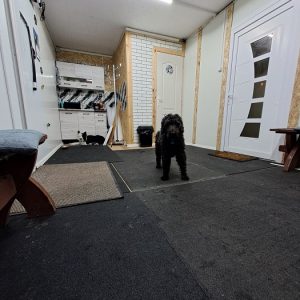 ebgondolat_kutyaiskola_belteri_oktatas4